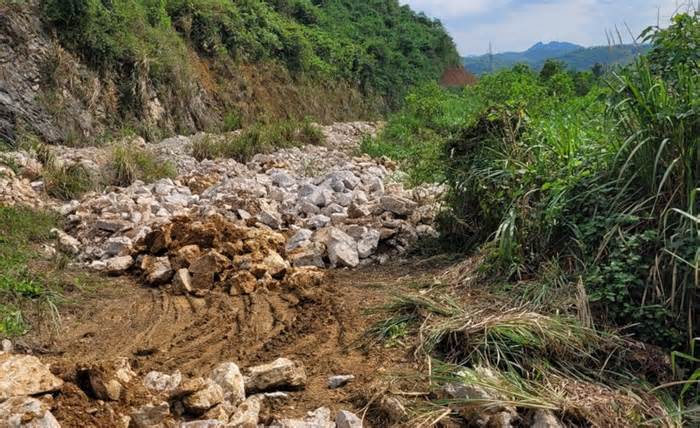 Lạng Sơn: Công ty TNHH Công trình 156 Hà Nội đổ thải, đè chết cây