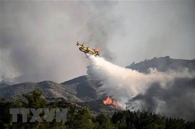 Các nước bên bờ Địa Trung Hải nỗ lực đối phó với cháy rừng lan rộng