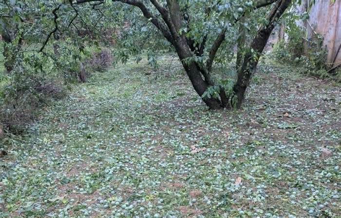 Nhiều nhà đổ sập, hư hỏng do mưa kèm dông lốc mạnh ở miền Bắc