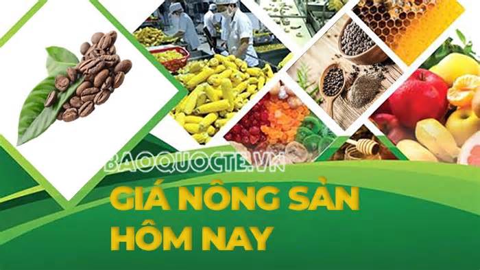 Giá nông sản hôm nay 22/4/2025: Giá cà phê trong nước cao kỷ lục, Giá tiêu lợi thế, Giá heo tăng mạnh ở miền Nam; Thế giới lo thiếu nguồn cung cà phê
