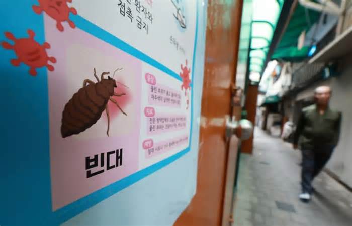 Rệp Hàn Quốc có thể sống sót ngay cả khi bị 'cho vào lọ thuốc trừ sâu'