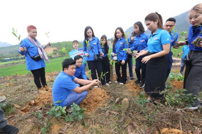 Thanh niên Thông tấn xã Việt Nam trồng 11.000 cây xanh tại Hòa Bình
