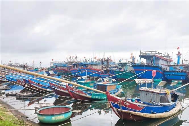 Khắc phục 'thẻ vàng' IUU: Quảng Trị hỗ trợ ngư dân vươn khơi