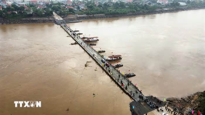 Cầu phao Phong Châu bắt đầu hoạt động từ sáng nay