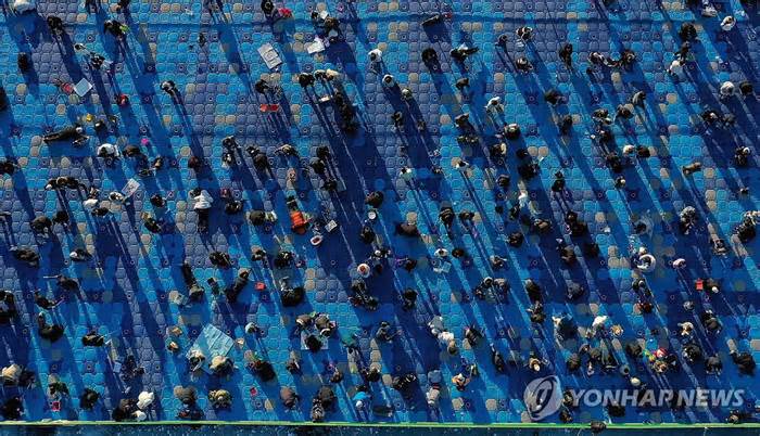 Lễ hội câu cá sông băng Hàn Quốc năm nay có cá hồi nuôi bằng nhân sâm