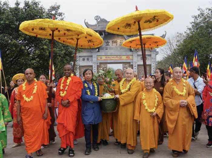 Hàng nghìn người đón cây bồ đề thiêng từ Sri Lanka về chùa Bái Đính