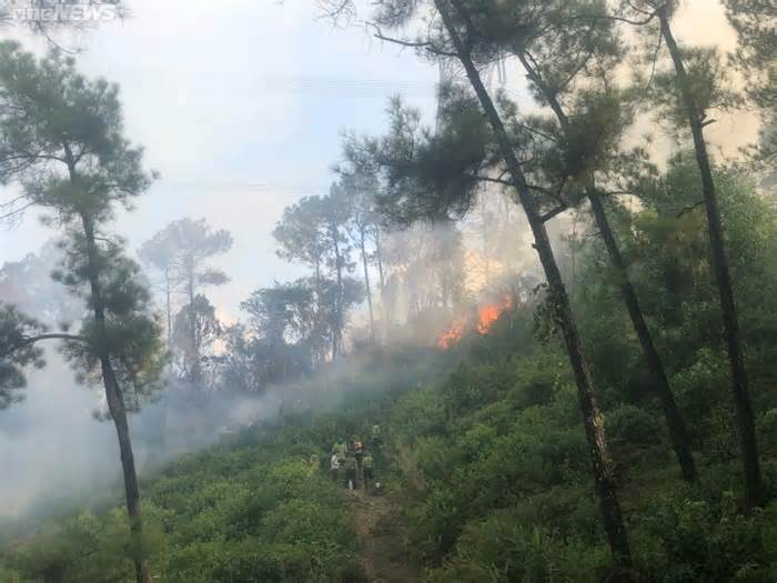 Rừng thông dưới đường dây điện cao thế ở Thừa Thiên - Huế cháy dữ dội