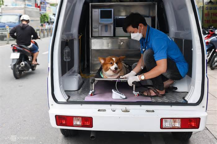 Phòng khám lưu động cho thú cưng