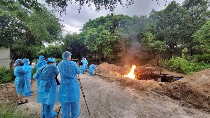 Tiêu hủy 21 con hổ và báo chết do dính cúm A/H5N1