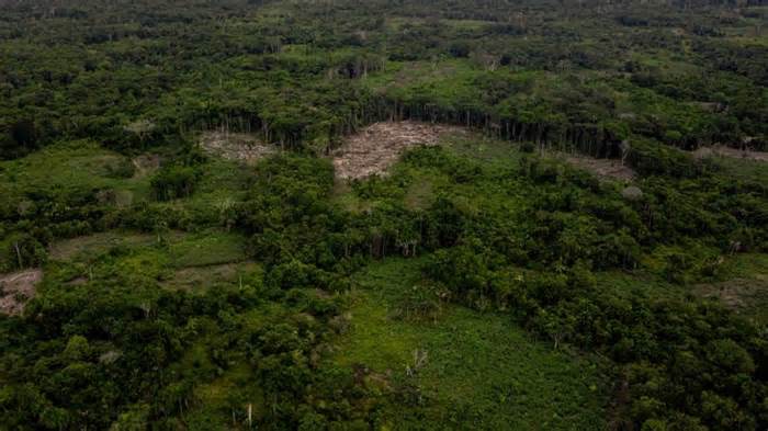 Vụ tai nạn máy bay ở Colombia: Bốn trẻ em sống sót thần kỳ sau 17 ngày