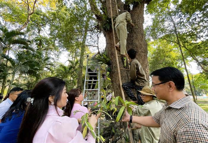 Thảo cầm viên Sài Gòn tiếp nhận 2,5 tấn lan rừng để bảo tồn