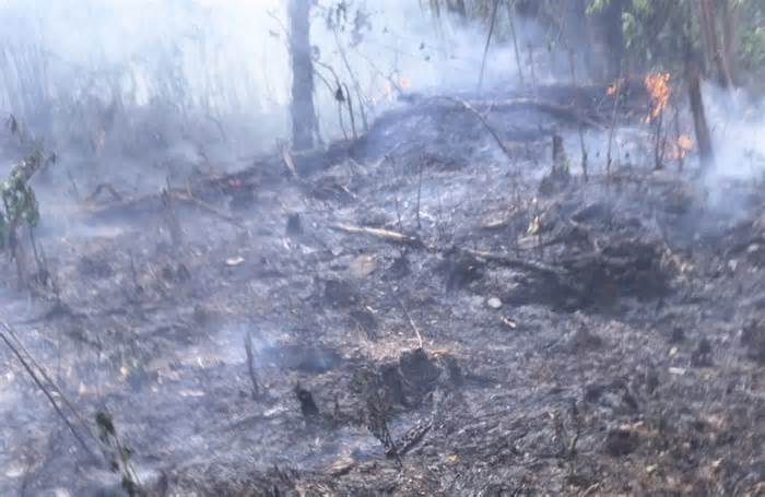 Cháy rừng tại Điện Biên khiến hơn 1 nghìn hộ dân thiếu nước sinh hoạt