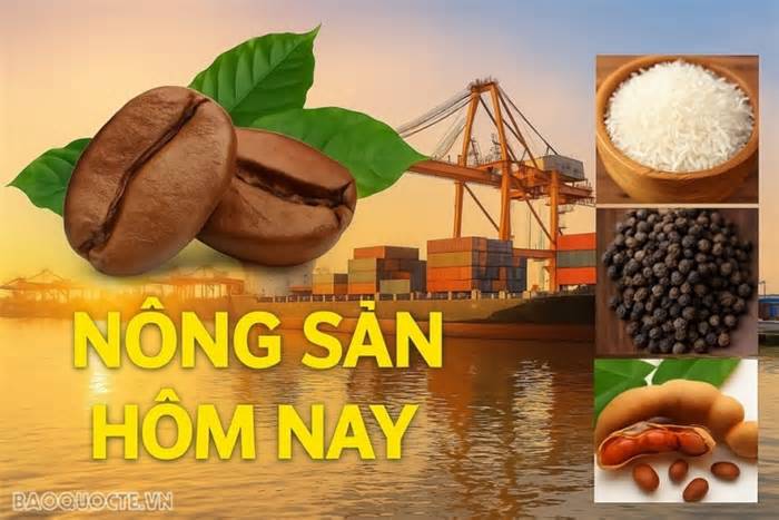 Giá nông sản hôm nay 17/9/2026: Giá cà phê giằng co trước trạng thái dư cung; Thái Lan có cách tránh nguy cơ tăng thuế từ Mỹ?