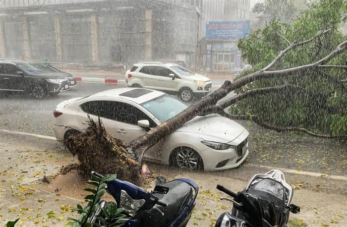 Chủ tịch Hà Nội ký công điện 'hoả tốc' về phòng chống thiên tai, ngập lụt, cây xanh gãy, đổ