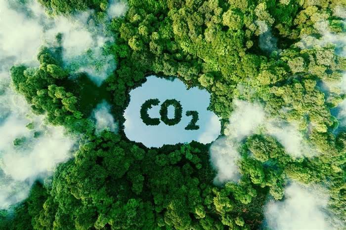 Malaysia giải bài toán khó về tín chỉ carbon thế nào, chọn môi trường hay cơ hội kinh tế?