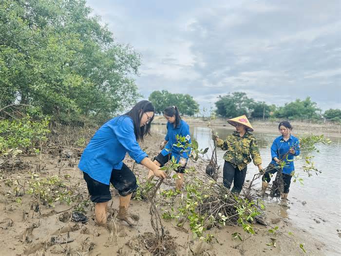 Thanh niên trồng cây hưởng ứng ngày môi trường