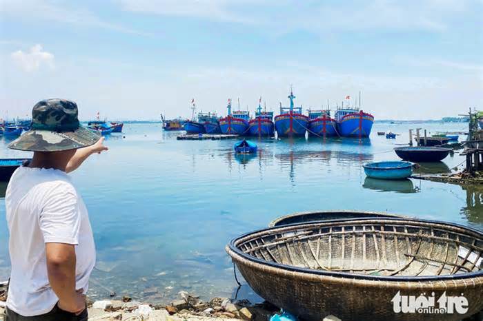 Tàu cá Quảng Nam nằm bờ hàng loạt vì đi biển là lỗ