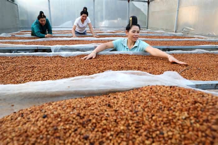 'Càphê chị em' ở Điện Biên - nơi những người phụ nữ tìm lại vị thế của mình