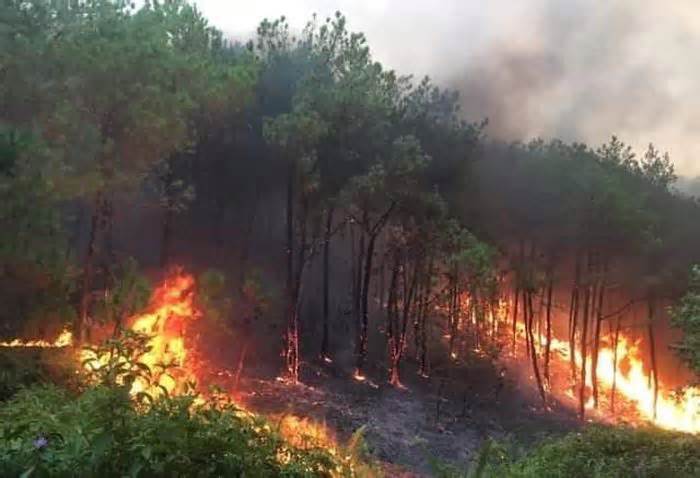 Hàng trăm người được huy động dập lửa cháy rừng ở Nghệ An
