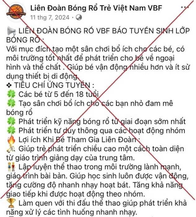 Đăng ký học bóng rổ cho con trên mạng, người phụ nữ ở Hà Nội bị lừa 1,1 tỷ đồng