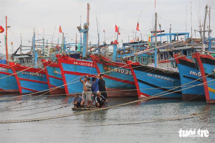 Đà Nẵng cấm biển, lo phương án đối phó ngập và sạt lở đất do bão Trà Mi