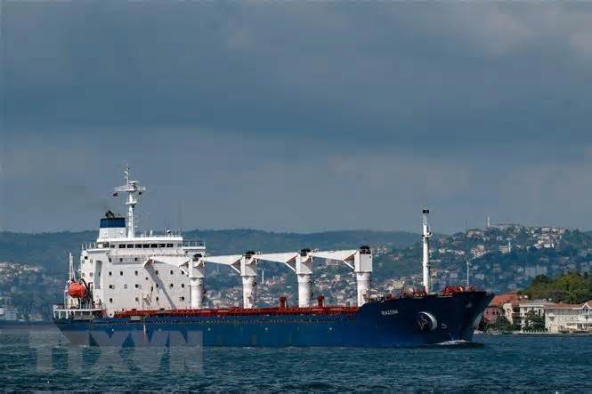 Liên hợp quốc-Nga đàm phán về việc gia hạn sáng kiến Ngũ cốc Biển Đen