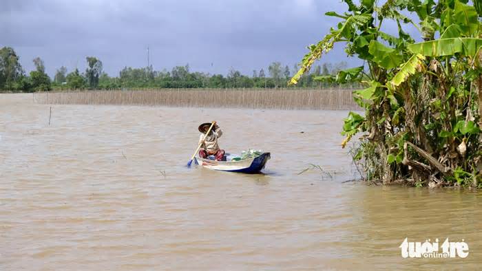 Ngư dân miền Tây 'hốt bạc' nhờ mùa nước nổi