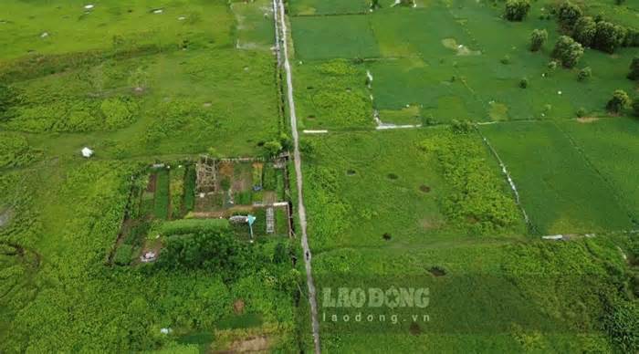 Cận cảnh khu đất hơn 96ha Daewoo muốn làm đô thị ở Thái Bình