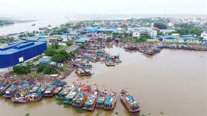 'Cùng ngư dân thắp sáng đèn trên biển' ở Thái Bình