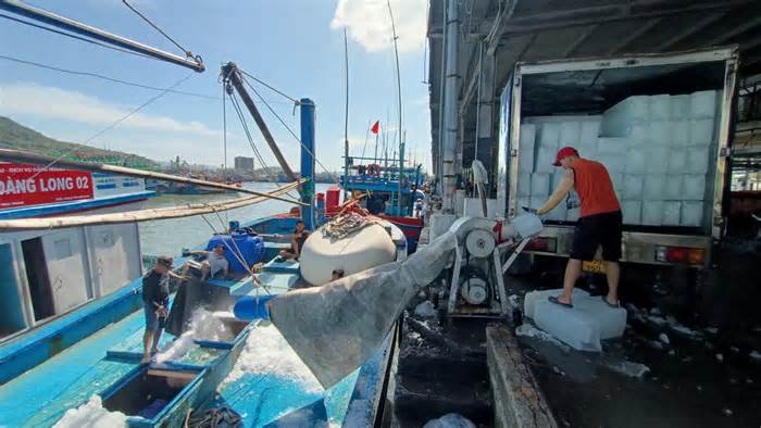 Khánh Hòa triển khai cao điểm chống khai thác hải sản bất hợp pháp - IUU
