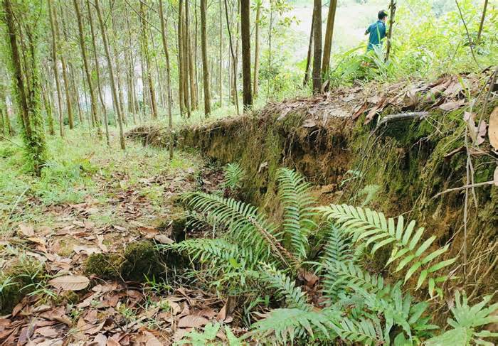 Nguy cơ sạt lở núi đe dọa cuộc sống của 40 hộ dân ở Quảng Bình