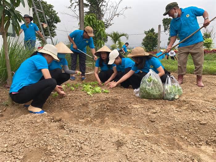 Đà Nẵng: Công đoàn xây dựng công trình trồng rau sạch chào mừng Đại hội