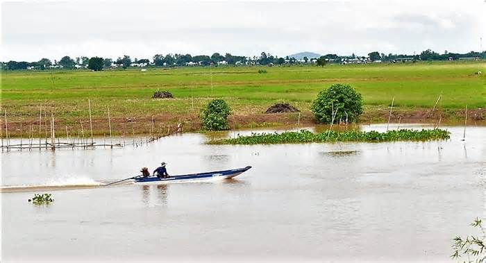 Mùa lũ kiệt, ngư dân đánh bắt thủy sản thất thu