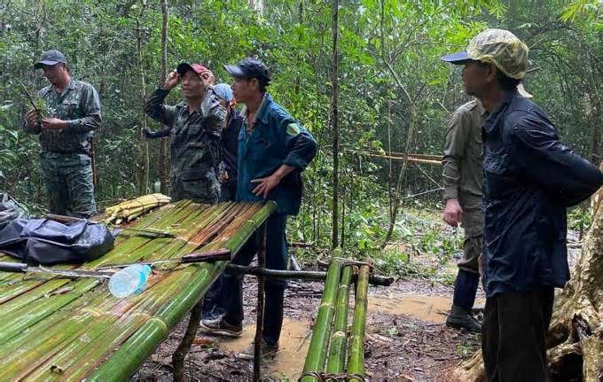 Đồng Nai: Tìm kiếm người đàn ông đi lạc nhiều ngày trong rừng Cát Tiên