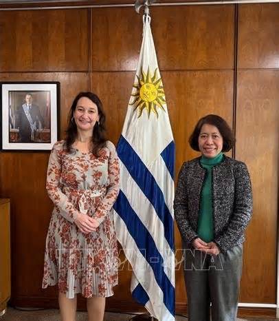 Việt Nam-Uruguay tăng cường hợp tác, thúc đẩy liên kết đa phương