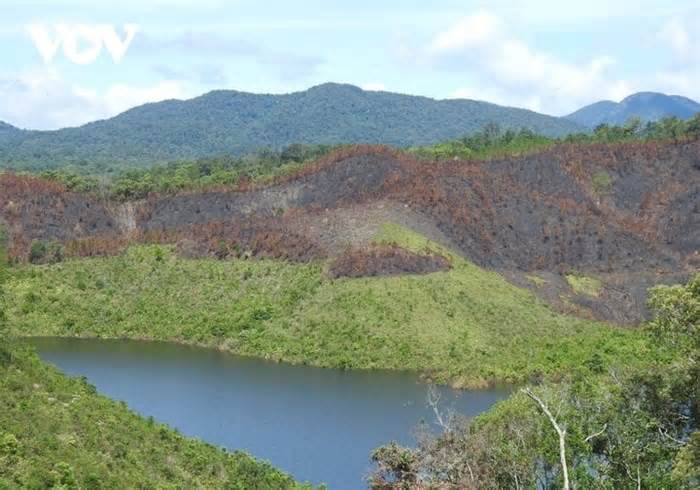 Hơn 400 cán bộ bảo vệ rừng ở Kon Tum xin nghỉ việc