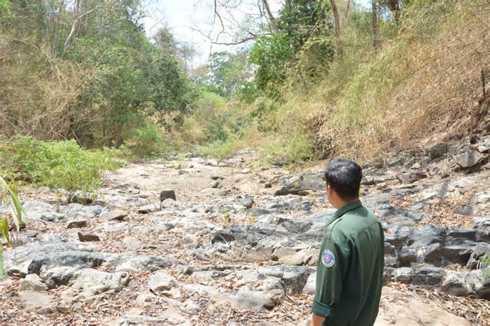 Chưa thông qua báo cáo đánh giá tác động môi trường dự án hồ Ka Pét