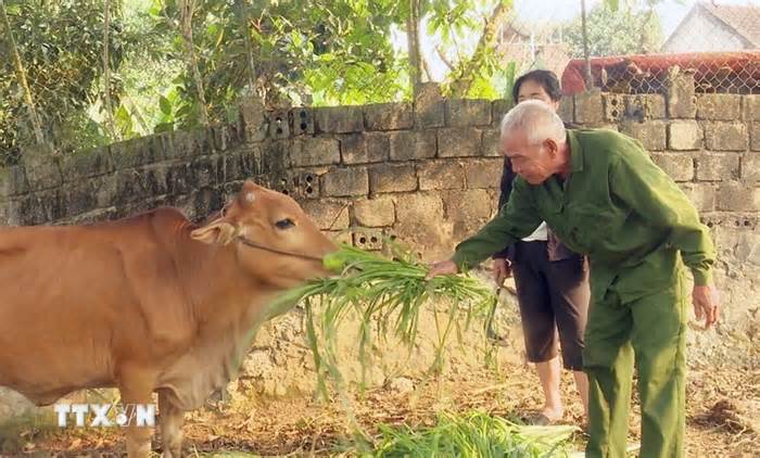 Thanh Hóa: Tạo sinh kế giúp đồng bào vùng cao Cẩm Thủy thoát nghèo