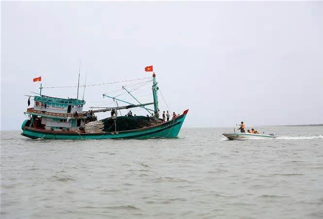 Cà Mau: Phạt 1 tỷ đồng và tịch thu tàu cá vi phạm quy định đánh bắt