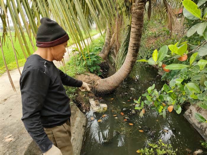 Kênh ô nhiễm 'không lối thoát' gây bức xúc hàng trăm hộ dân ở Hải Phòng