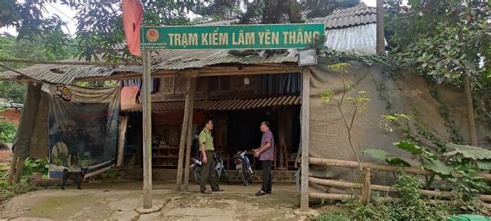 Trạm kiểm lâm ở Thanh Hóa thuê nhà dân để quản lý hơn 18.000 ha rừng