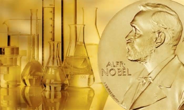 Hôm nay trao giải Nobel Hóa học 2024