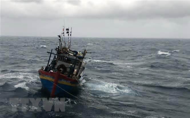 Nam Định: Kịp thời cứu hộ hai thuyền viên trôi dạt trên biển