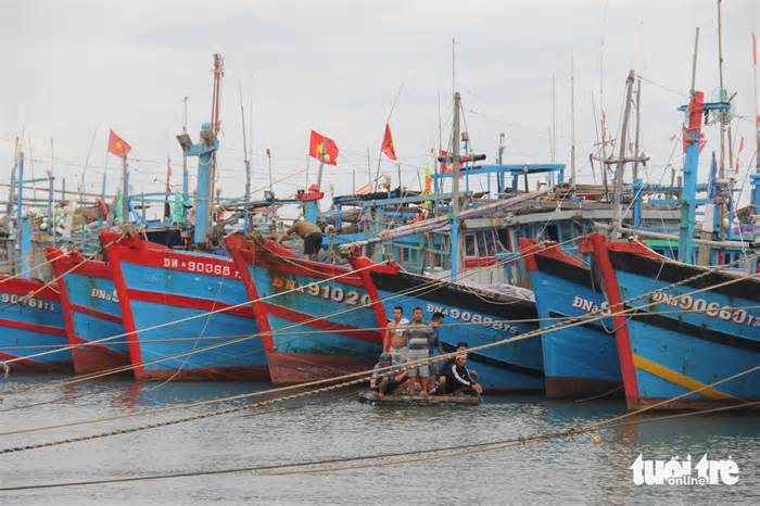 Hơn 1.800 tàu tránh bão Trà Mi, yêu cầu thuyền viên lên bờ