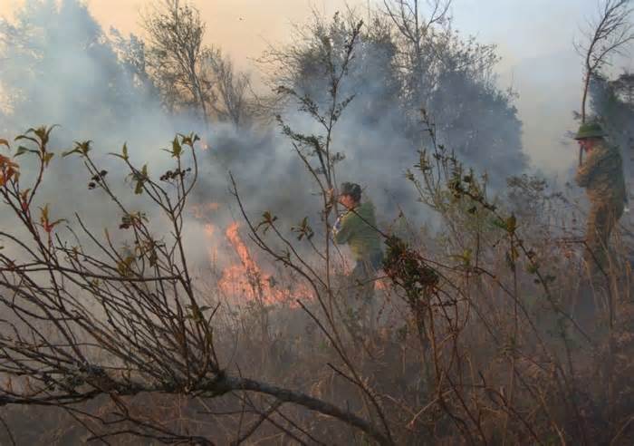 Cháy 25 ha rừng ở Sa Pa