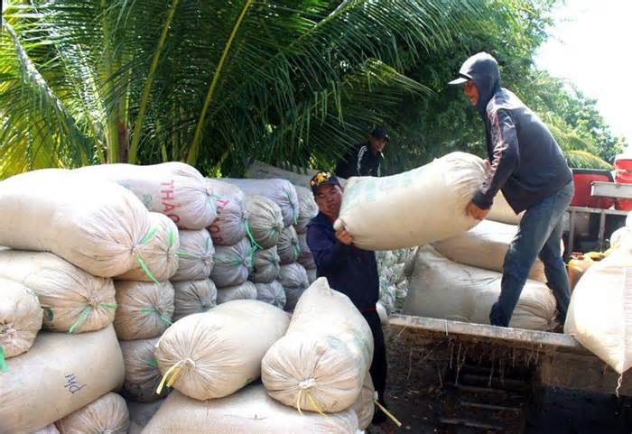 Cần giải pháp ổn định giá lúa cho nông dân