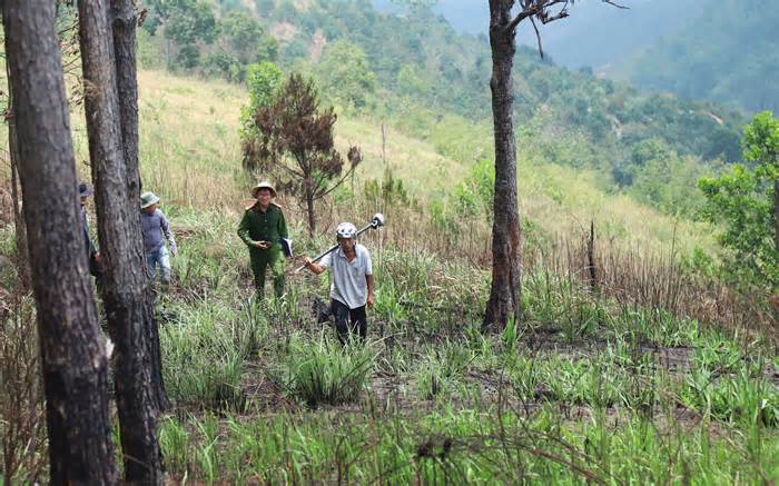 Khởi tố hai cán bộ ‘dính’ sai phạm giao đất rừng ở Lâm Đồng