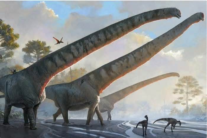 Bí mật về loài khủng long cổ dài hơn 15m tung hoành 150 triệu năm trước