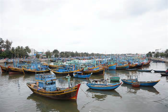 Tiếp nhận đơn xin khai thác 'kho báu' 3 tấn vàng dưới lòng sông ở Bình Thuận