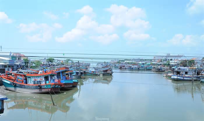 Chủ tịch Trà Vinh quyết loạt 'biện pháp mạnh' chống khai thác hải sản bất hợp pháp